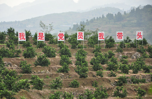 图片默认标题_fororder_1509513460322