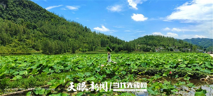 （中首）畅游在多彩山地间 贵州推动乡村旅游与休闲农业深度融合