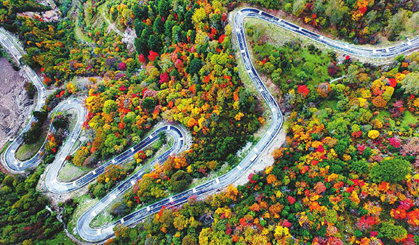 图片默认标题_fororder_1