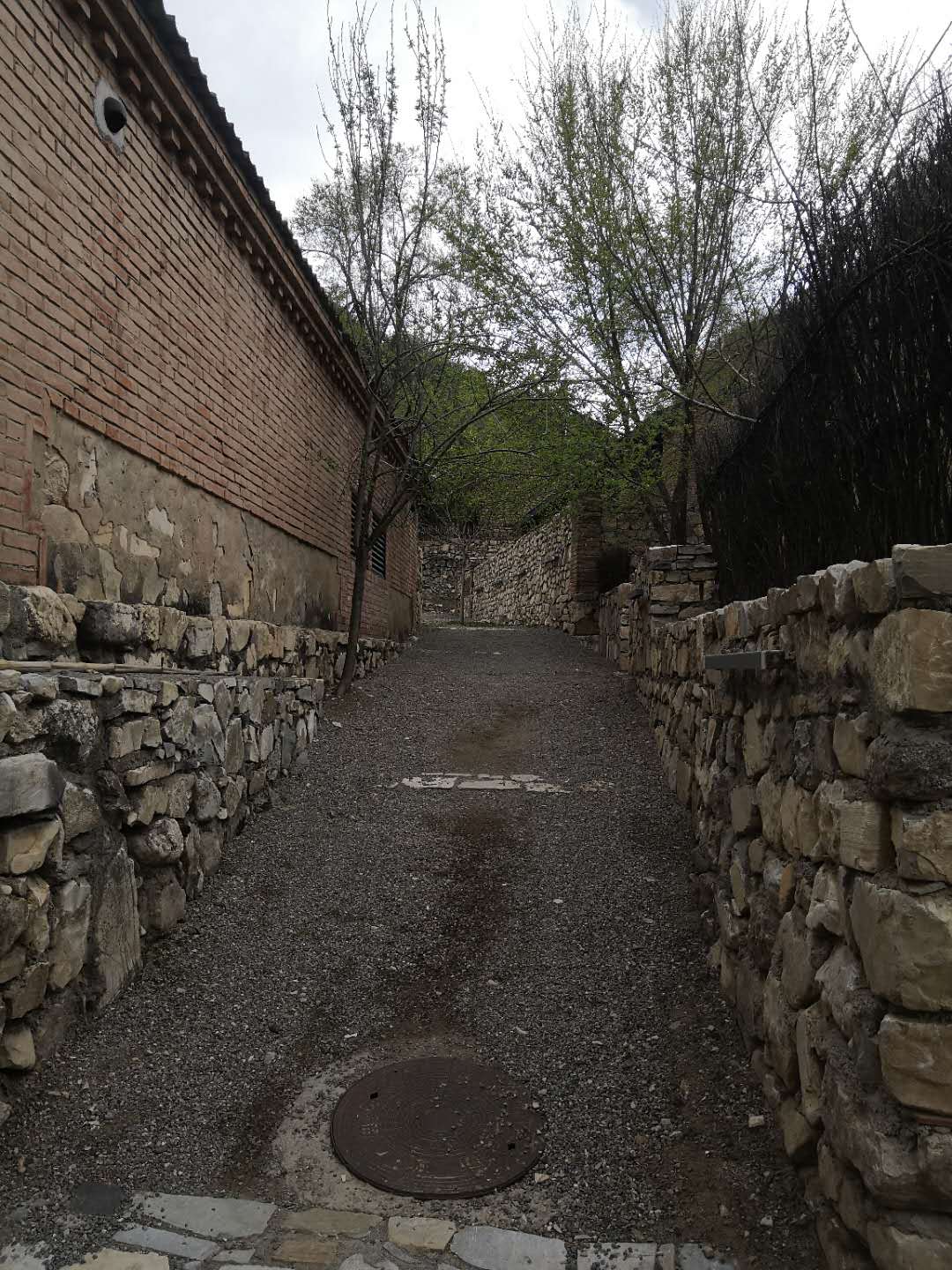 图片默认标题_fororder_webwxgetmsgimg (4)