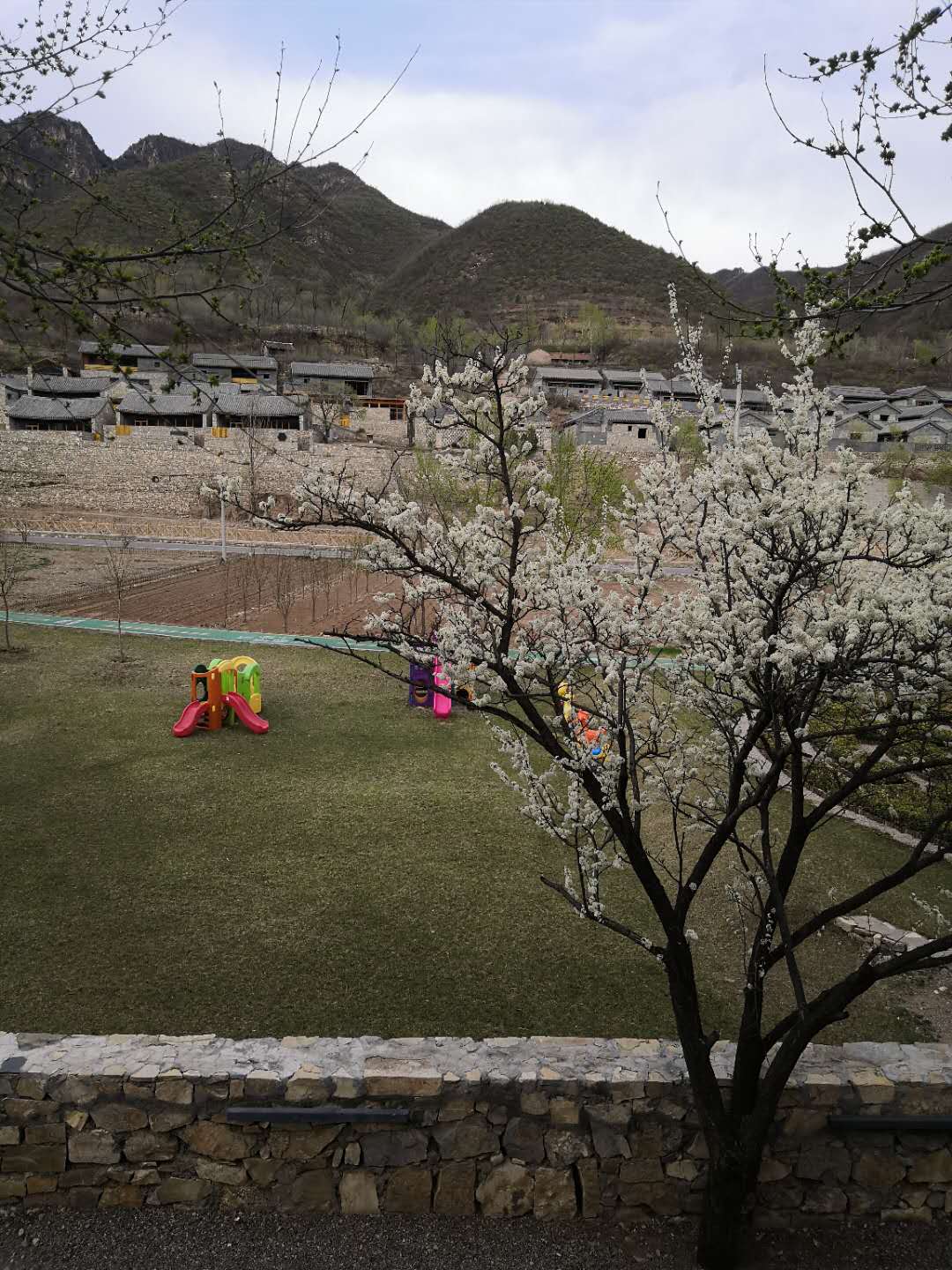 图片默认标题_fororder_webwxgetmsgimg (5)