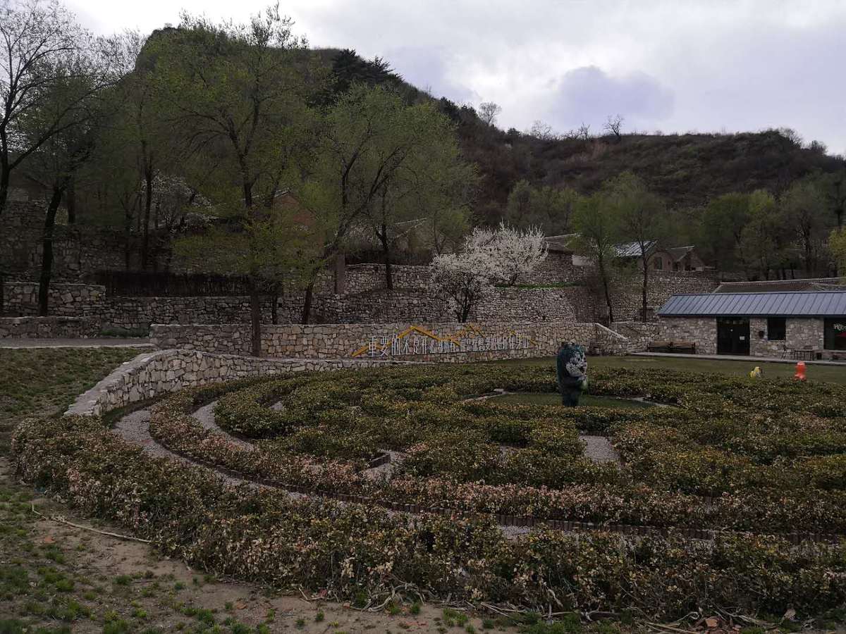 图片默认标题_fororder_webwxgetmsgimg (21)