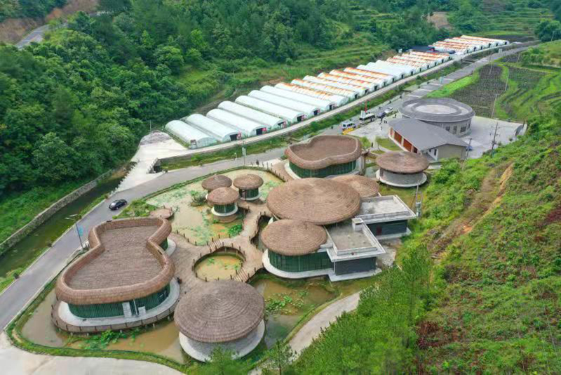 (待图)广元市人大代表王钦:帮助更多人富起来是我最大的快乐_fororder_微信图片_20210812161145