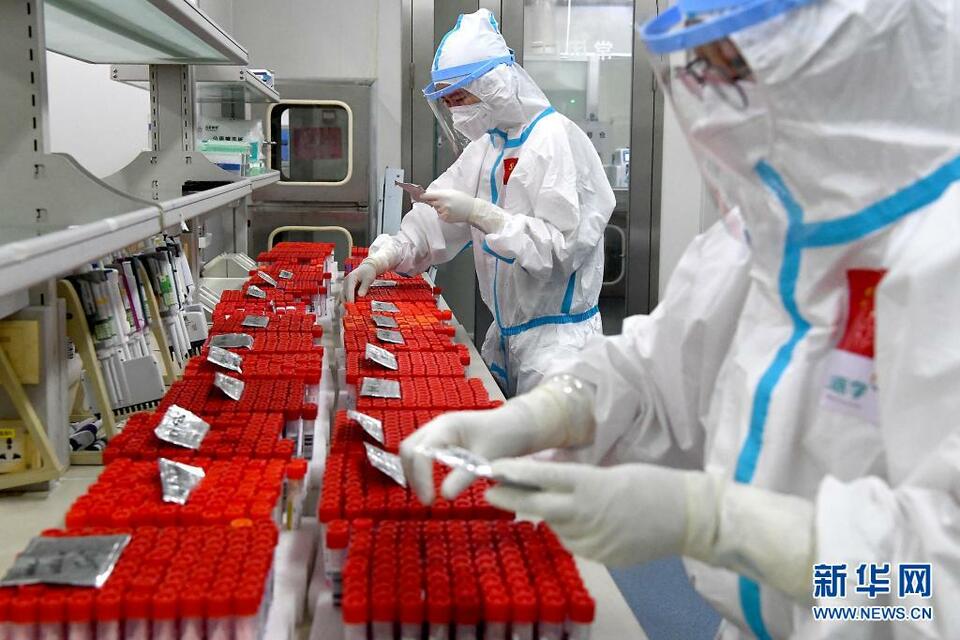 郑州：走进日检200多万人份的核酸检测实验室