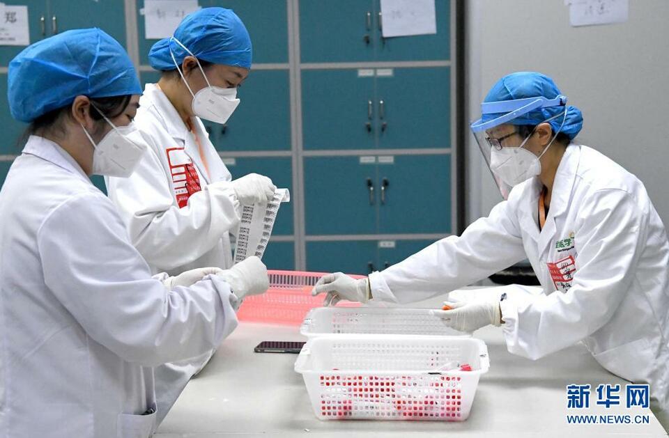 郑州走进日检200多万人份的核酸检测实验室