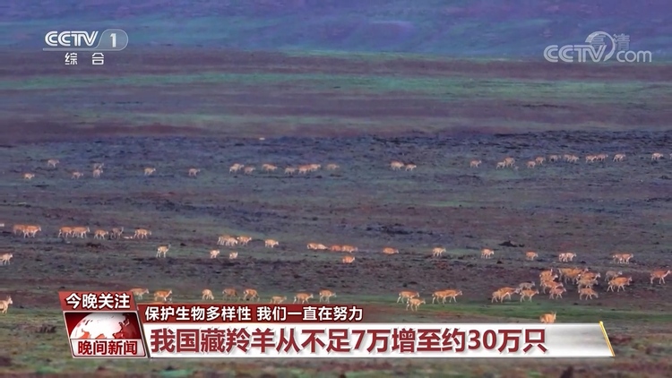保护生物多样性 我们一直在努力