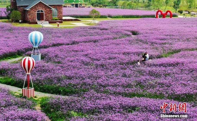 图片默认标题_fororder_江苏2