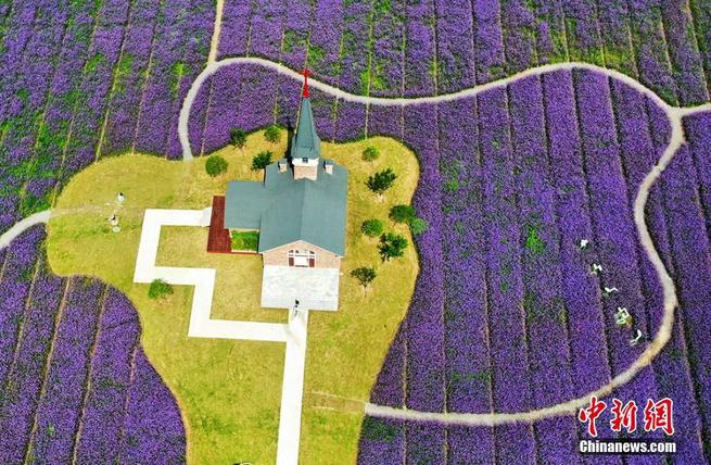 图片默认标题_fororder_江苏1