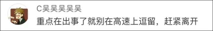 惨剧!3只羊闯入高速致4人死亡 因这六个致命错误