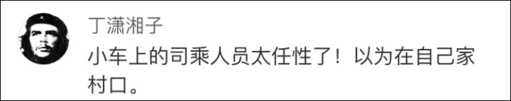 惨剧!3只羊闯入高速致4人死亡 因这六个致命错误