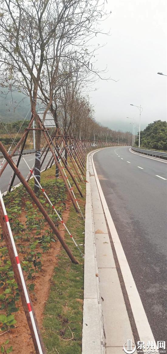 沿线景观提升项目大部分完成 泉州北高速出口将添美景