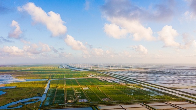 초가을 條子泥습지, 곳곳마다 아름다운 화폭 초가을 條子泥습지, 곳곳마다 아름다운 화폭_fororder_4