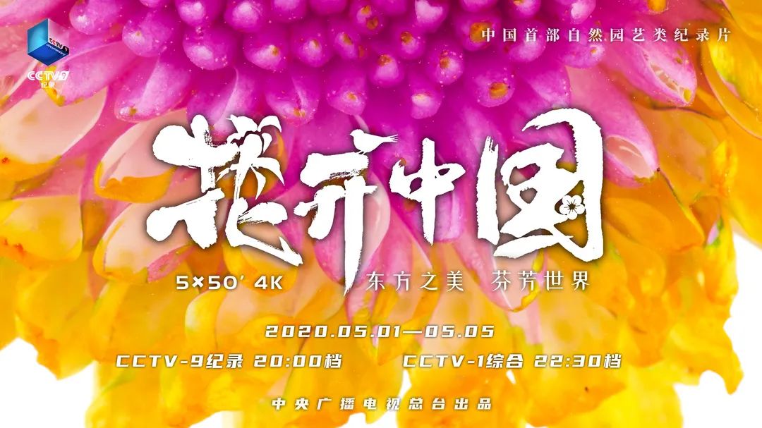 大型自然園藝類(lèi)紀(jì)錄片《花開(kāi)中國(guó)》五一假期隆重開(kāi)播