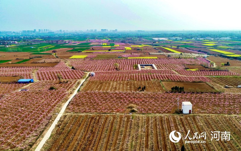 【焦点图-大图】【移动端-轮播图】平顶山市郏县:厚植生态底色 绘就绿色画卷