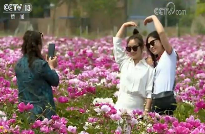 图片默认标题_fororder_22222