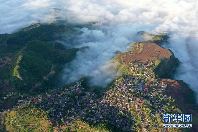 图片默认标题_fororder_yunhai3