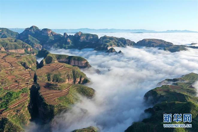 图片默认标题_fororder_yunhai