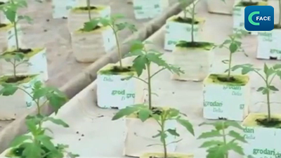 “ความโรแมนติกจากอวกาศ” อวดโฉมดอกกุหลาบที่เพาะบนอวกาศในวันเทศกาลชีซี_fororder_2021081806news2