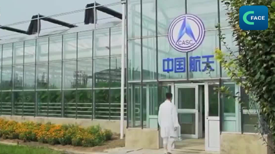 “ความโรแมนติกจากอวกาศ” อวดโฉมดอกกุหลาบที่เพาะบนอวกาศในวันเทศกาลชีซี_fororder_2021081806news3