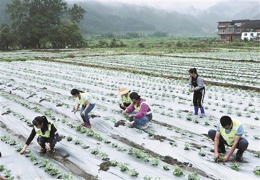 柳州：扶贫一线的“最美山花”