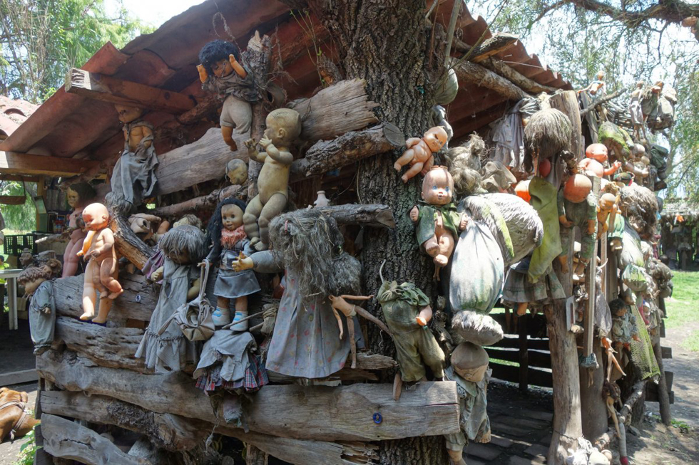 揭秘墨西哥恐怖"娃娃岛 树上挂满诡异洋娃娃(高清组图)
