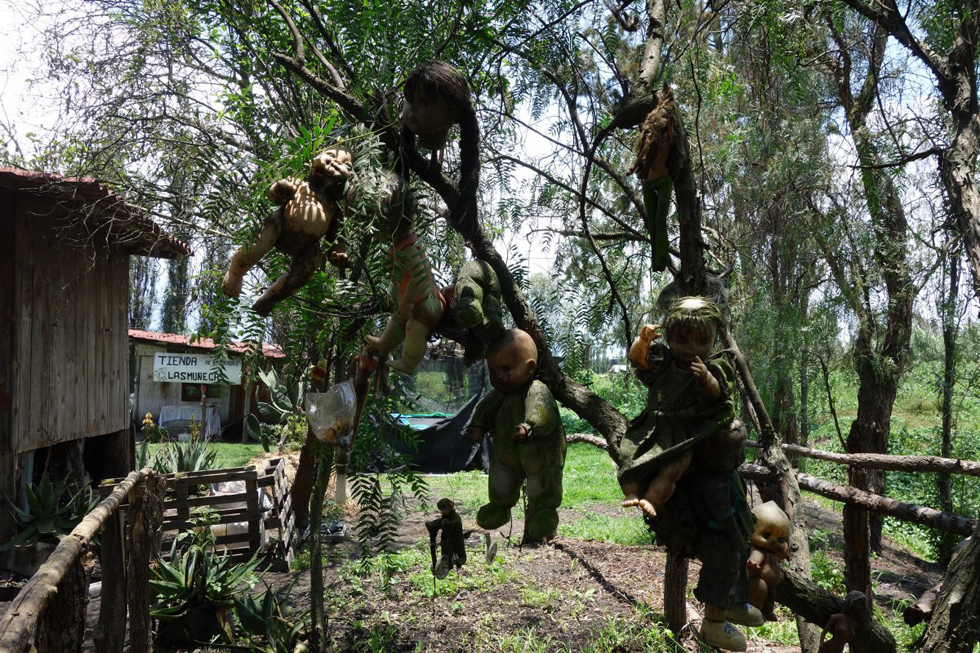 揭秘墨西哥恐怖娃娃岛树上挂满诡异洋娃娃高清组图