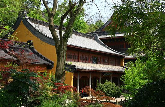 90后小编灵隐寺工作500天后下山：古刹深深影响了我