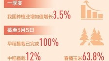 粮仓更稳固 菜篮更丰富