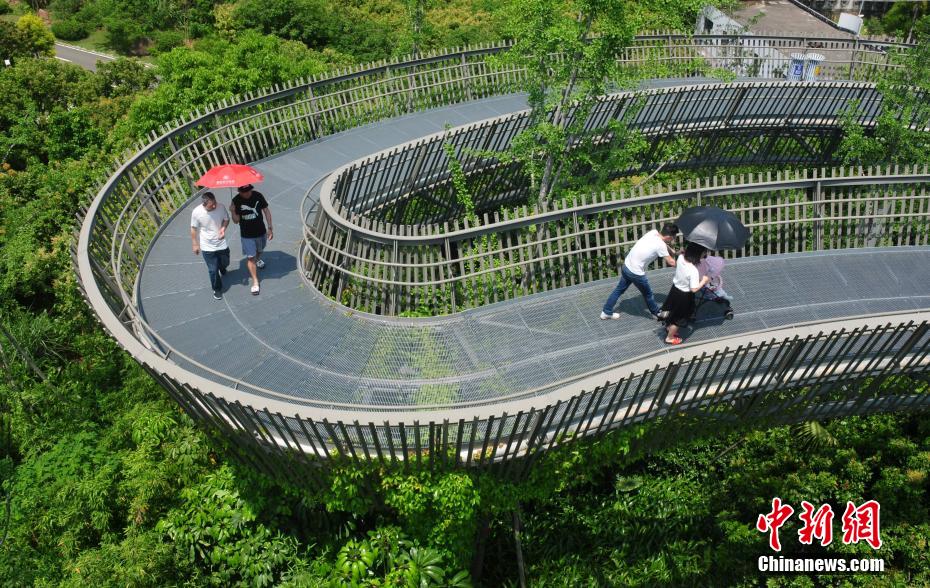 图片默认标题_fororder_森林1