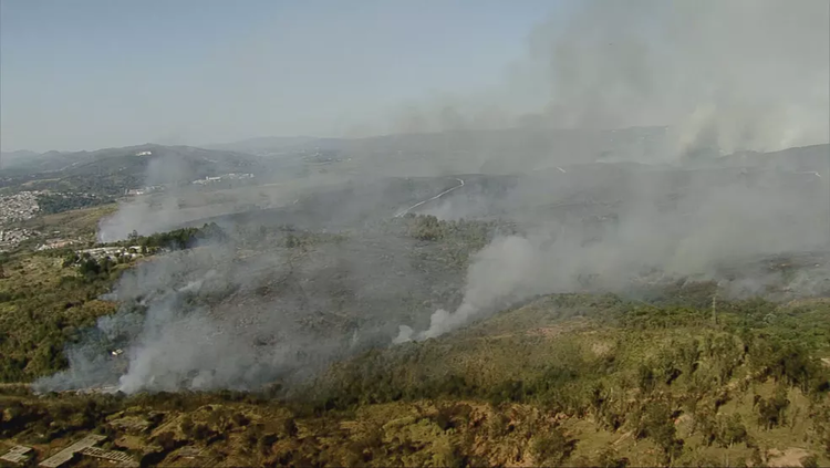 巴西圣保罗州茹克里森林公园发生大火 一半面积已被烧毁