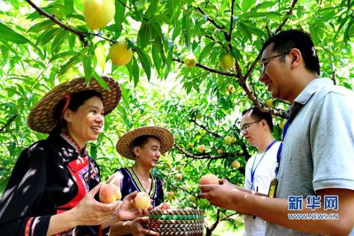 脱贫攻坚接下来怎么干？十九大5句最新提法告诉你