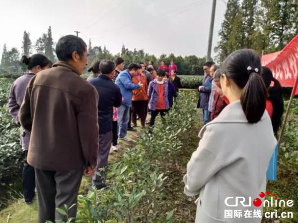 图片默认标题_fororder_产业扶贫茶叶专家组现场讲解茶园管理技术-摄影-梁前坤