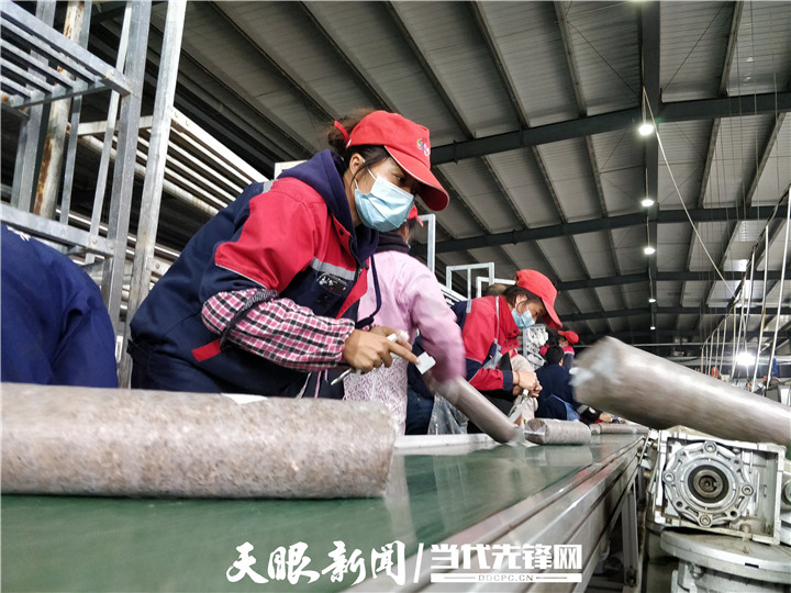 贵州水城：一座菌种场与亿元级产业的崛起