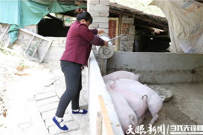 贵州六枝郭成琼:当上新市民 追梦新生活