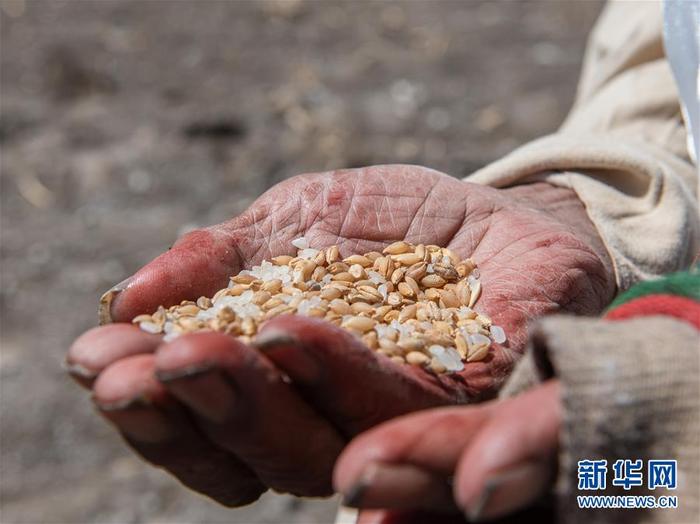 图片默认标题 图片默认标题_fororder_1125954282_15888572272571n