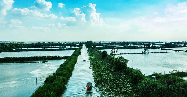 洪泽湖西顺河湿地：湖畔水乡 秋色初显