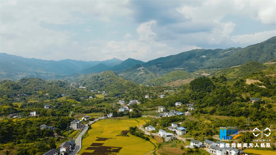 【城市远洋】重庆：金色“稻路”话丰年