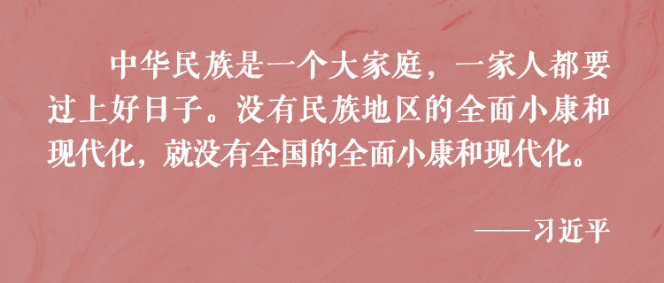 总书记倾心浇灌民族团结进步之花 总书记倾心浇灌民族团结进步之花
