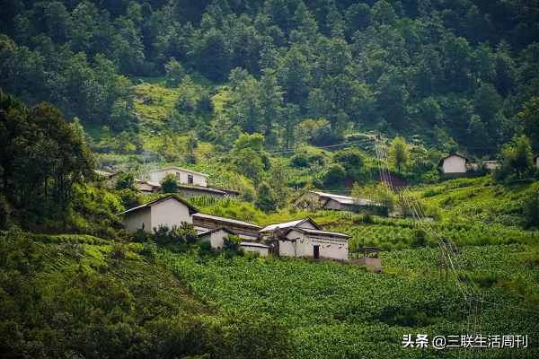 他们来自大山深处,却唱出天籁火遍抖音 他们来自大山深处,却唱出天籁火遍抖音_fororder_3