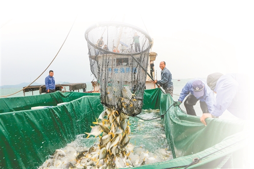 防城港:先行先试崛起临海大工业