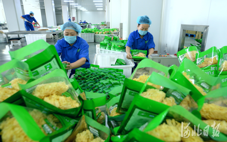 河北沧州：农产品产业链 助推农业提档升级