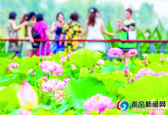 （转载）逐绿前行 城市更健康