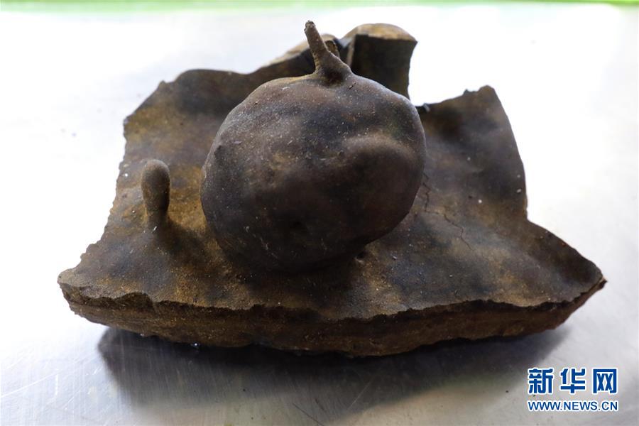 “向阳红01”船在南大西洋海底获得形态奇特玄武岩