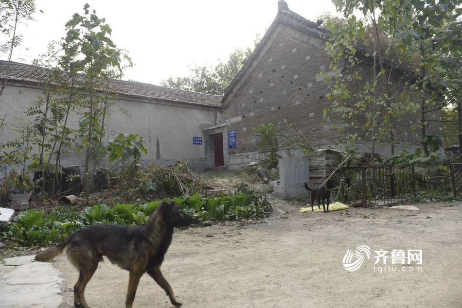 宋代寺庙隐秘养殖场内 仅剩大殿壁画精美