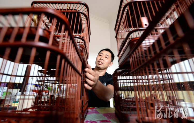 河北大城：红木鸟笼生产助民致富