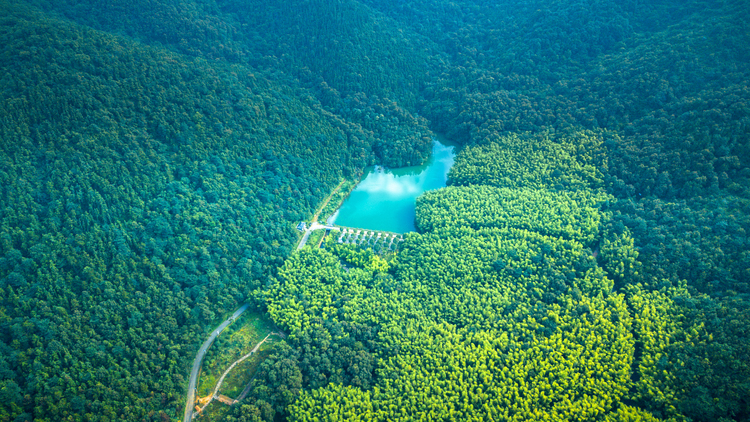 宝盛园更名茅山森林世界 森林ip时代助力文旅消费提档升级