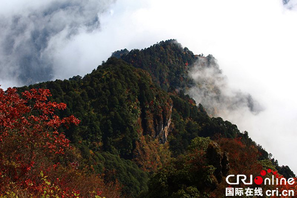 图片默认标题_fororder_多彩峨眉迎来旅游热潮（峨眉山旅游公司-供图）-(9)