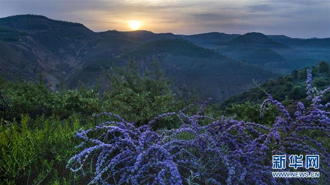 图片默认标题_fororder_wq2