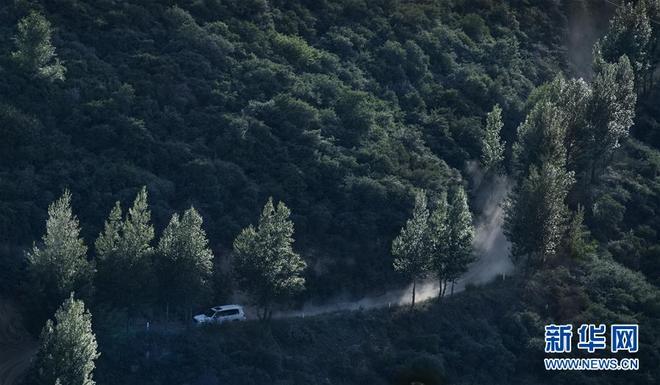 图片默认标题_fororder_wq8