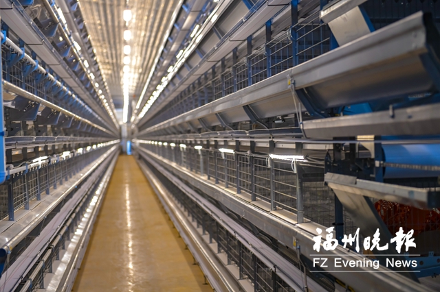 福州永泰打造全球最大蛋鸭养殖综合体 工程一期将投产